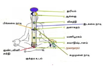 குண்டலினி என்றால் என்ன?